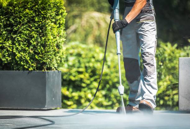 Best Solar Panel Cleaning  in Bigfoot, TX