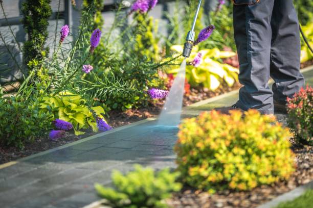 Best Dumpster Area Cleaning  in Bigfoot, TX